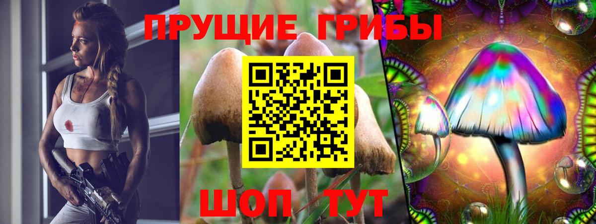 Галлюциногенные грибы MAGIC MUSHROOMS  Вход с VPN  Топки 
