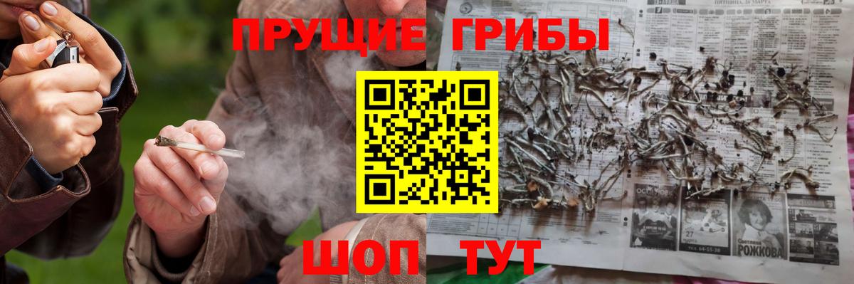 Псилоцибиновые грибы Cubensis Топки
